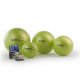 LEDRAGOMMA GymnastikBall standard průměr 65 cm zelená