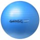 LEDRAGOMMA GymnastikBall maxafe průměr 65 cm