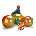 GYMNIC Míč Arte průměr 65 cm