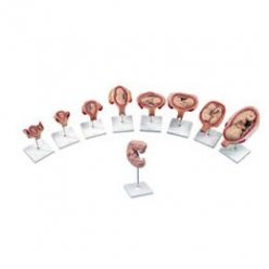 Luxusní série těhotenství - 9 modelů