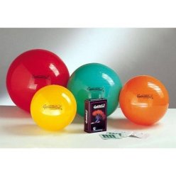 LEDRAGOMMA GymnastikBall Standard průměr 65 cm - výběr barev