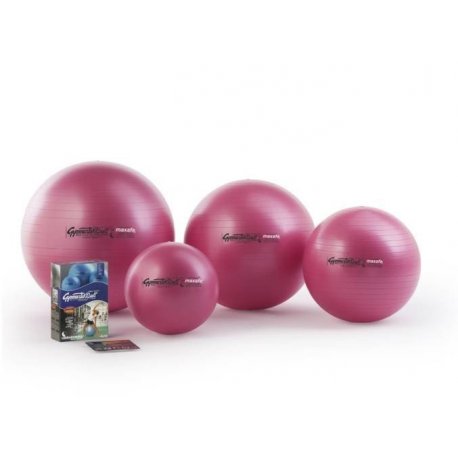 LEDRAGOMMA GymnastikBall - velký cvičební míč k poúrazové rehabilitaci