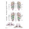 Anatomický plakát plosky lidské nohy s vyznačením reflexních bodů podle systému H Marquardt.
