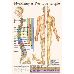 Schéma - Meridiány a Dornova terapie