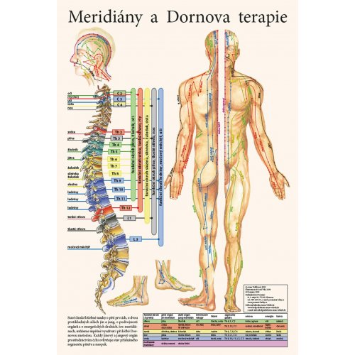 Schéma - Meridiány a Dornova terapie