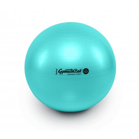 LEDRAGOMMA GymnastikBall maxafe průměr 65 cm