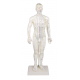 Čínská figurína muže pro akupunkturu - 50 cm